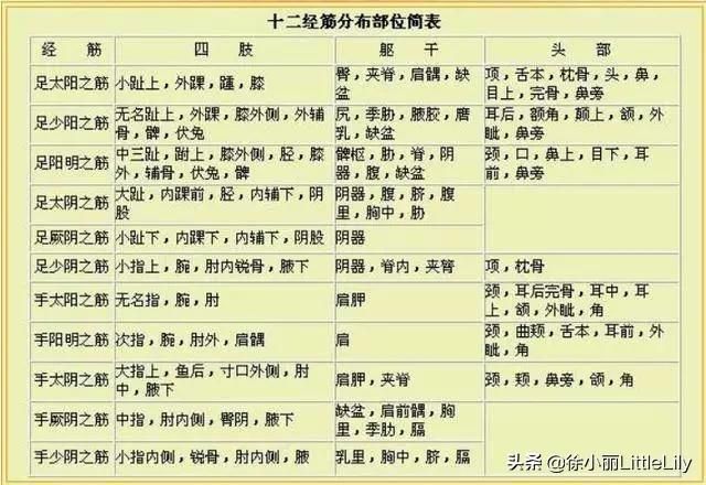 人筋在哪里(人筋的位置图片)