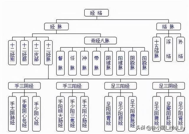 人筋在哪里(人筋的位置图片)