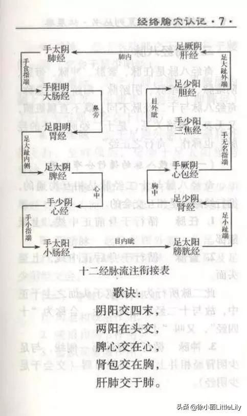 人筋在哪里(人筋的位置图片)