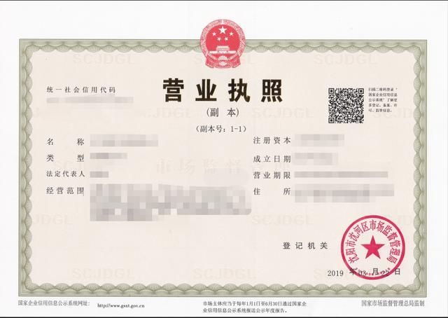 沈阳营业执照注册网站(个体营业执照查询官网)