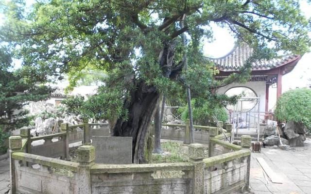 韩寒家在哪(任嘉伦现居地)