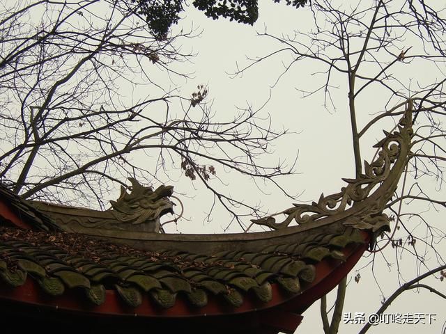 乐山大佛在哪儿(乐山大佛视频播放国语)