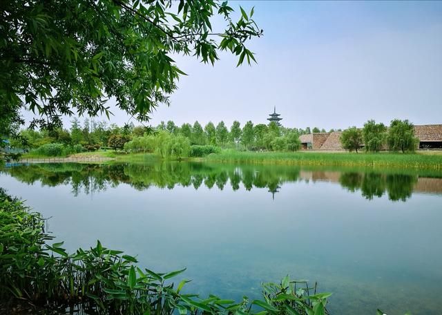 长沙洋湖湿地公园在哪里(长沙洋湖湿地公园楼盘)