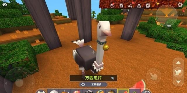 迷你世界鸵鸟在哪里(迷你世界骑鸵鸟)
