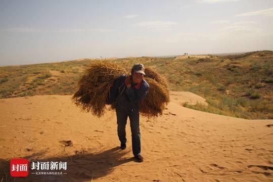 武威沙漠在哪(武威沙漠公园图片及简介)