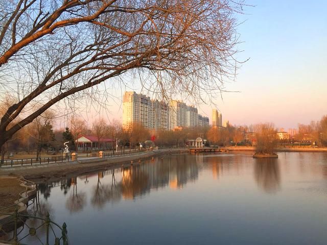 松北新区公园在哪里(哈尔滨松北公园有哪些)