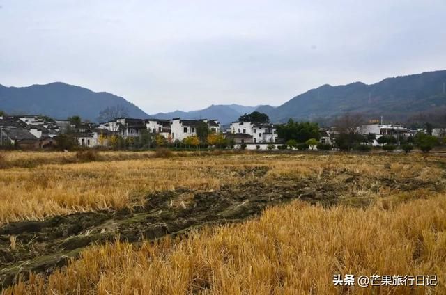 雪鹿在哪(燕京雪鹿啤酒包头公司)