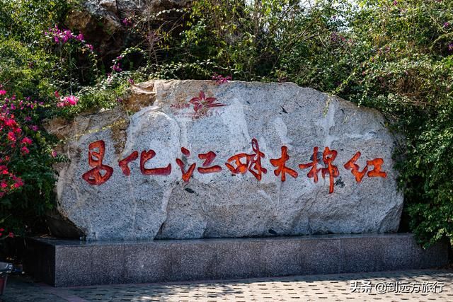 海南花海在哪(温州花海在哪里)