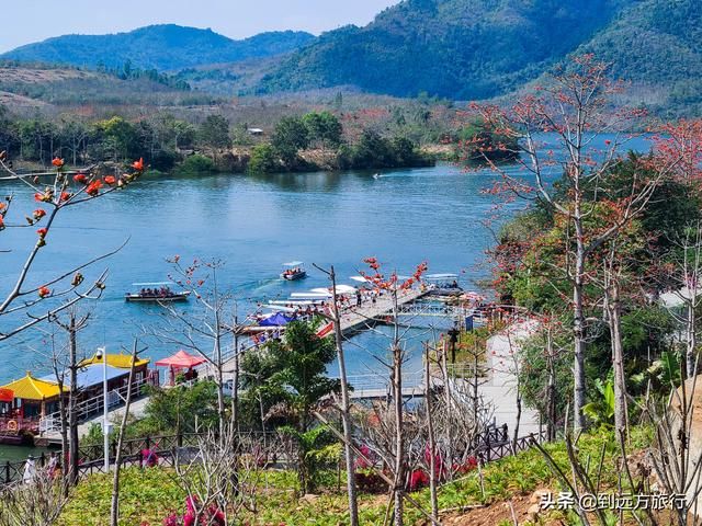 海南花海在哪(温州花海在哪里)