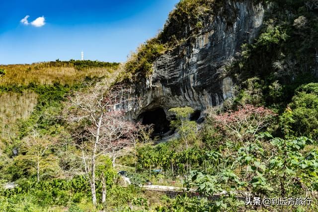 海南花海在哪(温州花海在哪里)