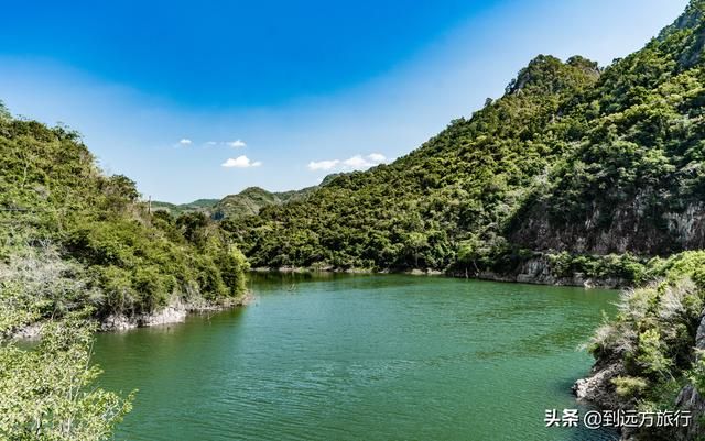 海南花海在哪(温州花海在哪里)