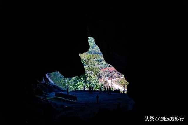 海南花海在哪(温州花海在哪里)