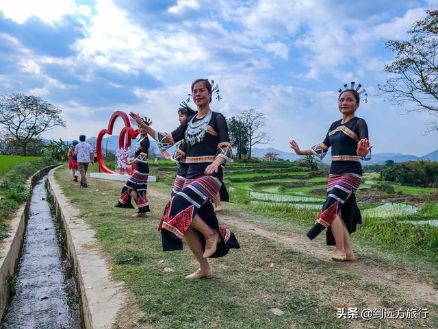 海南花海在哪(温州花海在哪里)