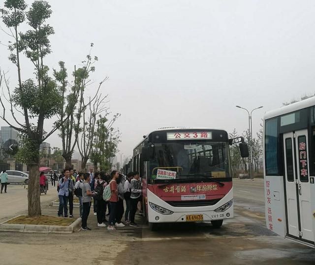 舒城四小地址在哪(舒城四仙的地址)