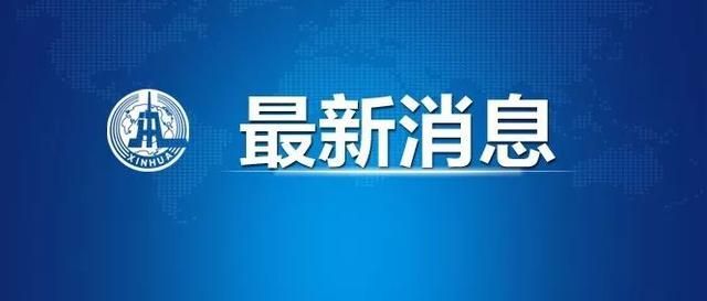 2020考研课程安排(2020考研政治真题及答案解析)