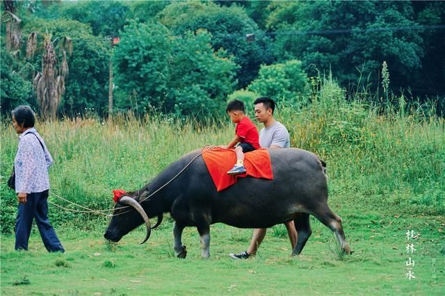 桂林山水在哪里(桂林山水在哪里哪个省)