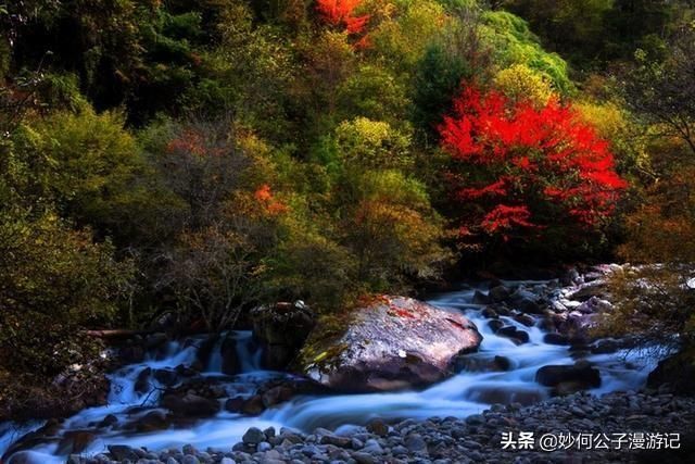 孟屯河谷在哪里(孟屯河谷在哪里距离德阳有多少公里)