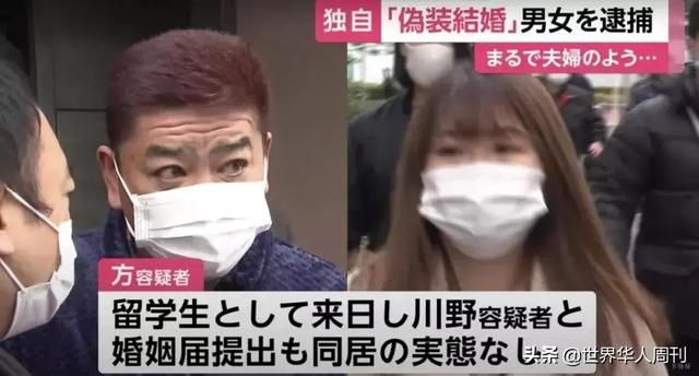 关于企业公信网查询系统的信息