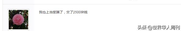 关于企业公信网查询系统的信息