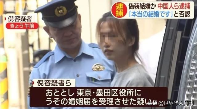 关于企业公信网查询系统的信息