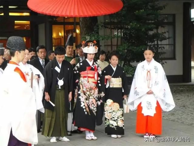 关于企业公信网查询系统的信息