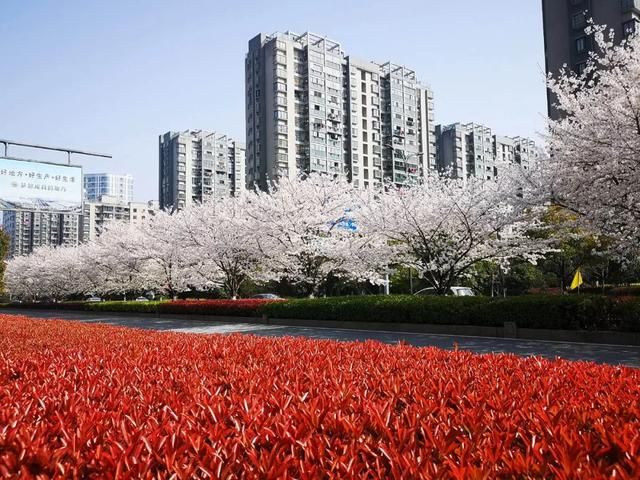临平在哪儿(临平在哪个区)