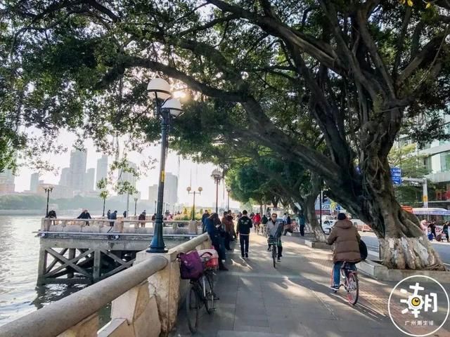 广马在哪(广马在哪里报名)