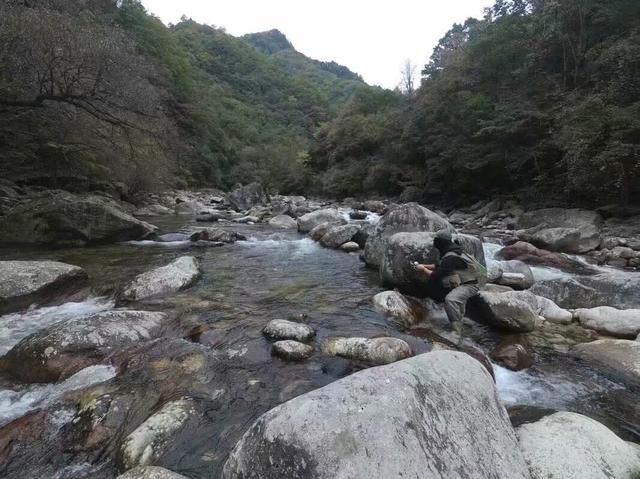 虹鳟鱼在哪钓(星露谷物语虹鳟鱼在哪钓)