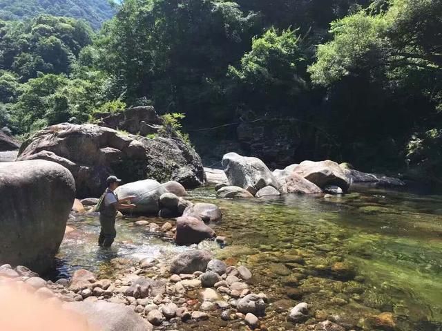 虹鳟鱼在哪钓(星露谷物语虹鳟鱼在哪钓)