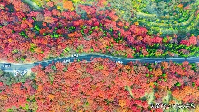 暖春在哪里拍的(暖春在哪拍的)