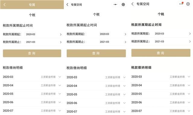 手机怎样查个人所得税的简单介绍