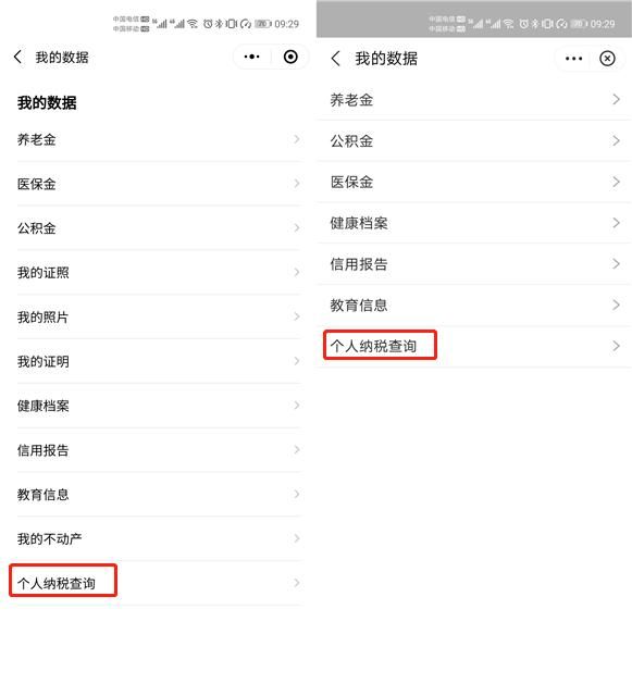 手机怎样查个人所得税的简单介绍