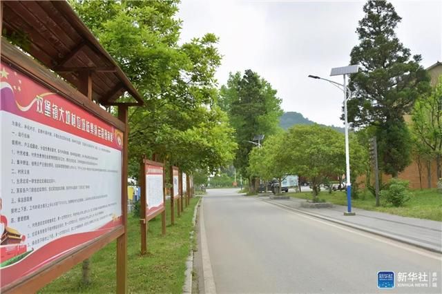 大坝村在哪的简单介绍