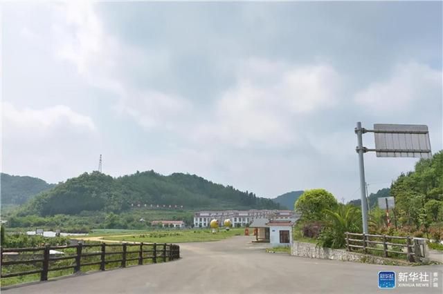 大坝村在哪的简单介绍