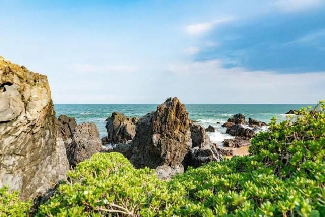 海南凤景图片(海南风景图片高清图片)