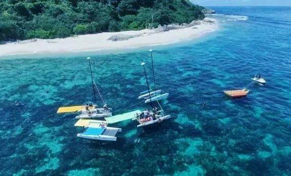 海南凤景图片(海南风景图片高清图片)
