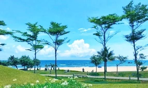 海南凤景图片(海南风景图片高清图片)
