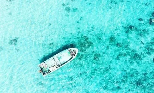 海南凤景图片(海南风景图片高清图片)