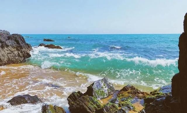 海南凤景图片(海南风景图片高清图片)