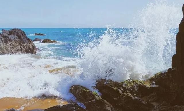 海南凤景图片(海南风景图片高清图片)