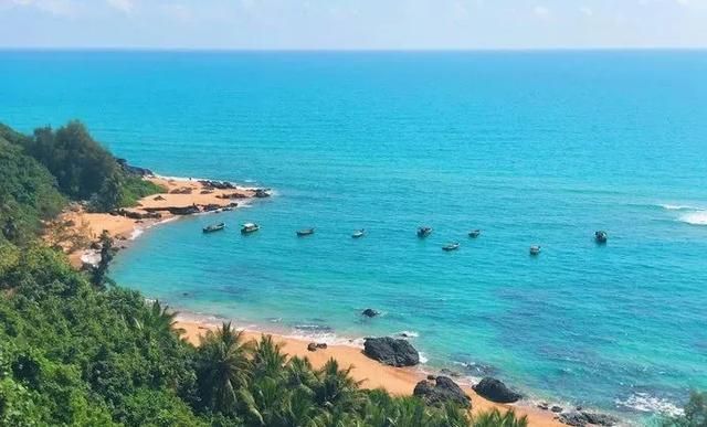 海南凤景图片(海南风景图片高清图片)