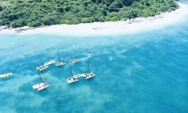 海南凤景图片(海南风景图片高清图片)