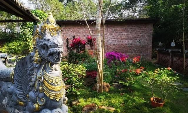 海南凤景图片(海南风景图片高清图片)