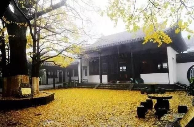 关于连云港墟沟红灯区在哪的信息