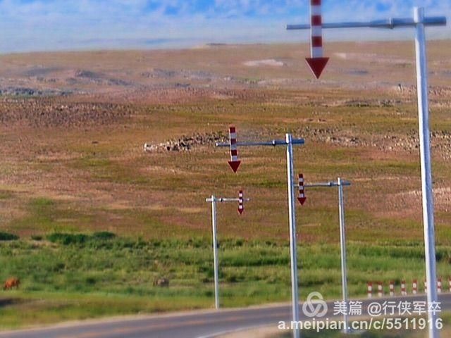 白哈巴在哪(白哈巴小孩图片)