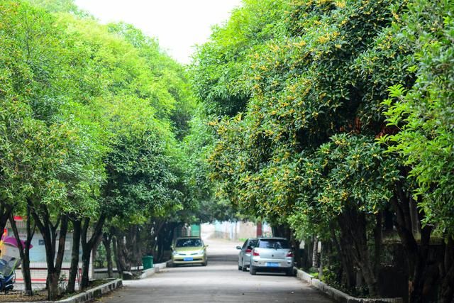 桂林市在哪个省(桂林是在哪个省)
