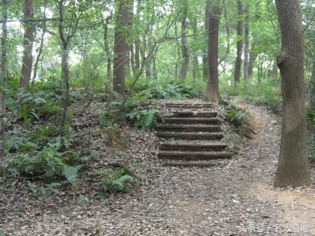 长沙马王堆在哪个区(长沙马王堆在哪个博物馆)