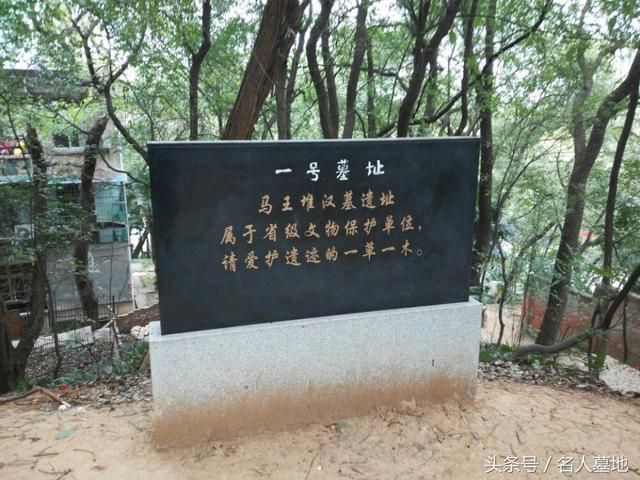 长沙马王堆在哪个区(长沙马王堆在哪个博物馆)