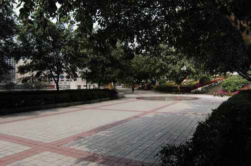 重庆南坪中学好还是杨家坪中学好(重庆杨家坪中学是第几中学)