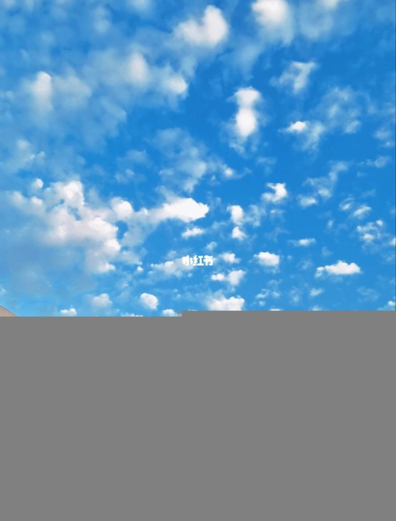 温州科技职业学院在哪(温州科技职业学院教务管理系统)